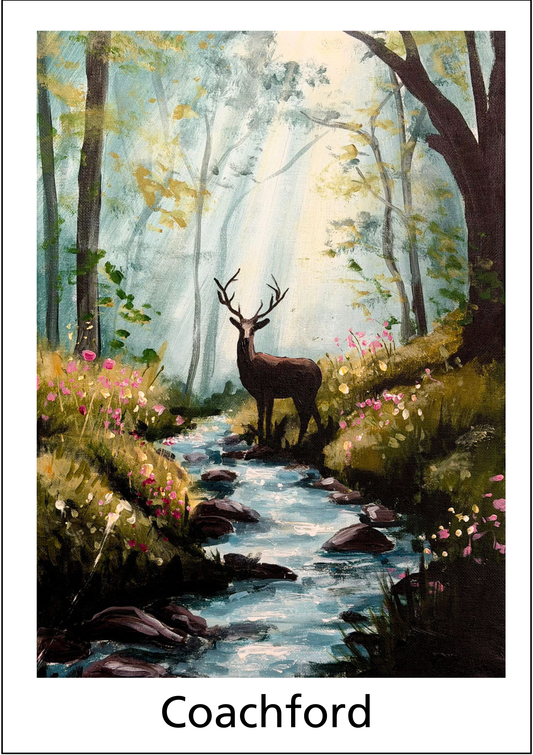 Cork, Coachford fun art class January 30th 2026